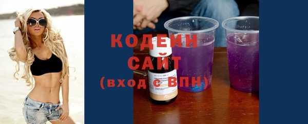 МДПВ Бородино
