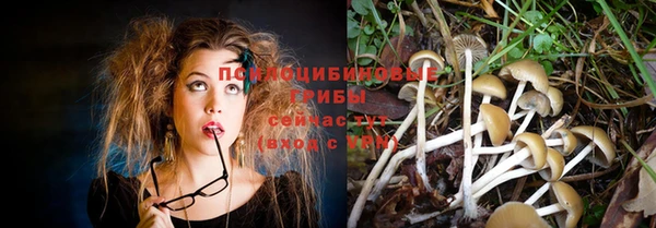 соль курить ск Вязьма
