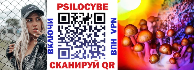 Галлюциногенные грибы Psilocybe  наркотики  Змеиногорск 